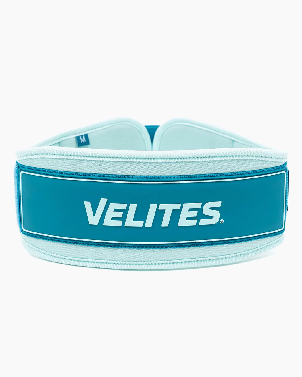 Lifting Belt